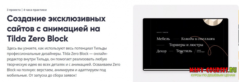 Breezzly - Создание эксклюзивных сайтов с анимацией на Tilda Zero Block (2021)