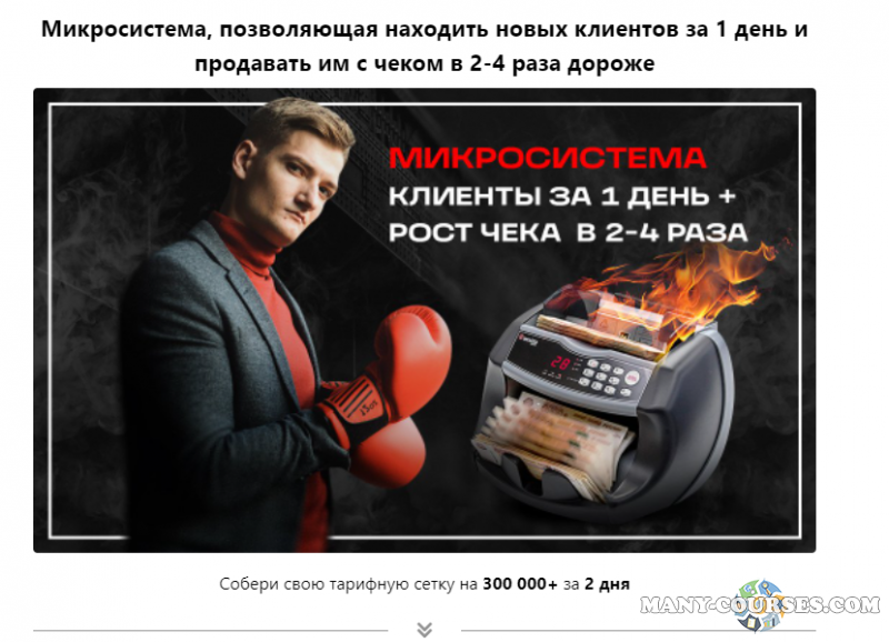 Владимир Сургай - Микросистема