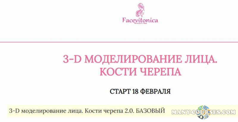 Facevitonica / Инна Алферова - 3Д Моделирование лица. Кости черепа 7.0. Тариф Базовый