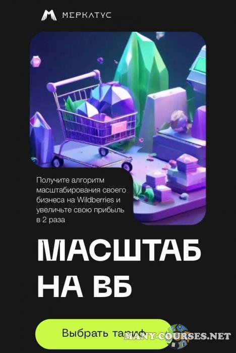 Лео Шевченко - Масштаб на ВБ. Тариф Топ на WB