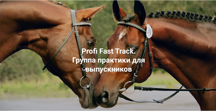 Елена Веселаго - Profi Fast Track. Группа практики с супервизией для выпускников