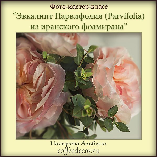 coffeedecor - Эвкалипт Парвифолия из иранского фоамирана