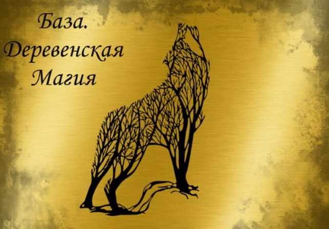 Магия. Ведьмин котел / Татьяна Гончарова - Базовое обучение. Деревенская магия