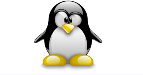 profit / Альберт Степанцев - Не хотите ли немного Linux?