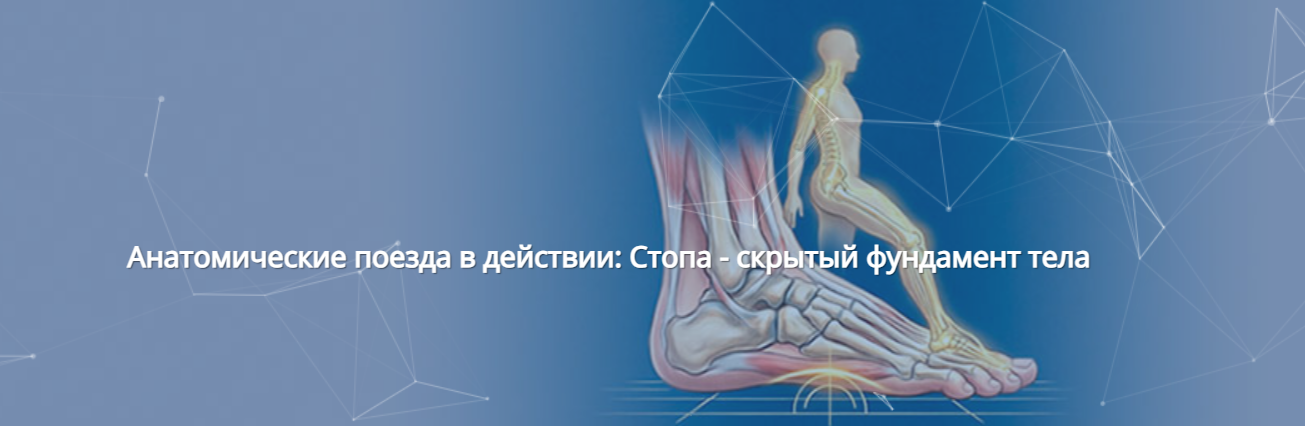 Анна Щербина / Центр Практика - Анатомические поезда в действии: Стопа - скрытый фундамент тела