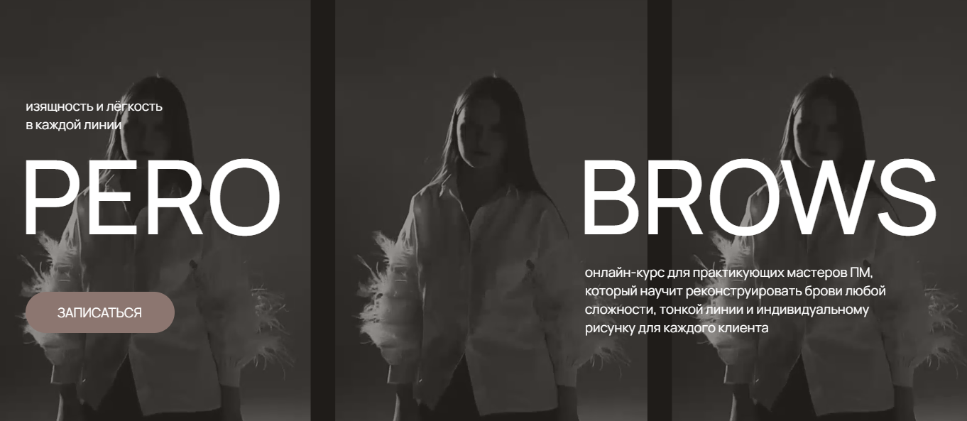 Диана Аристова - Онлайн-курс для практикующих мастеров ПМ «Pero Brows»
