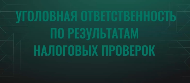 Тигран Аракелян - Уголовная ответственность по результатам налоговых проверок. Тайм-коды