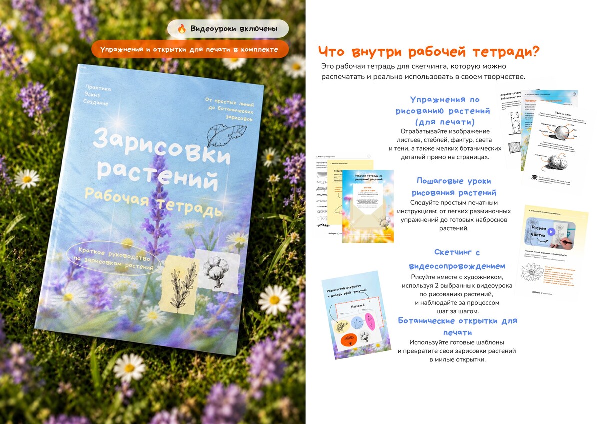 Kaplan school - PDF практикум Зарисовки растений