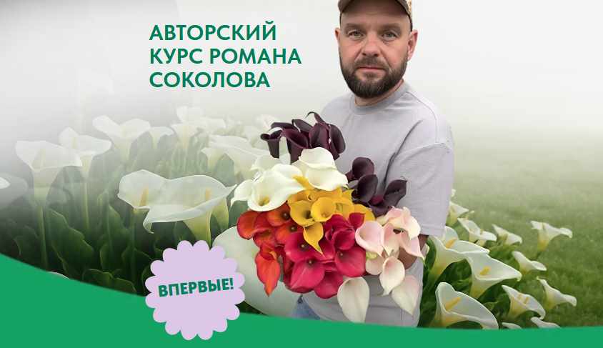 Роман Соколов - Каллы. Полная технология выращивания