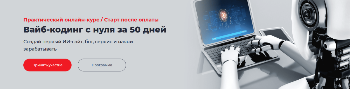 Точка доступа / Дмитрий Румянцев, Алекс Таций - Вайб-кодинг с нуля за 50 дней. Тариф База