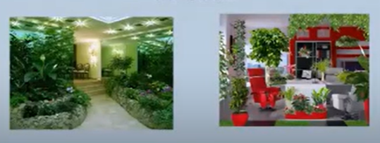Prodecoring - Фитодизайн в интерьере