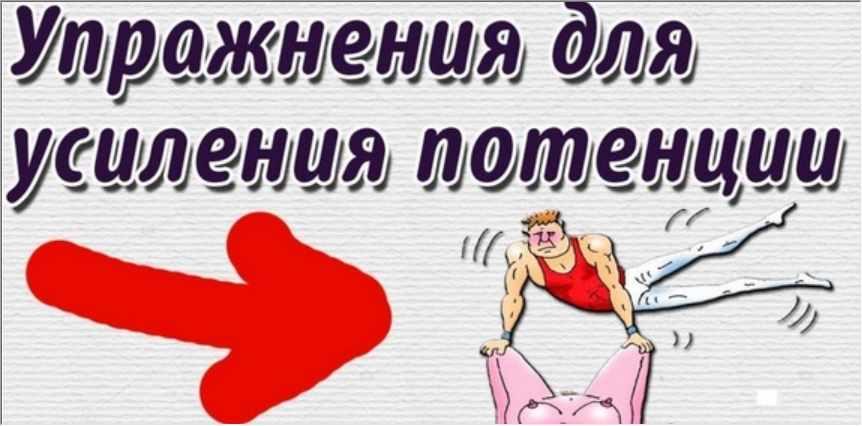 Екатерина Макарова - Упражнения для эрекции. Полный курс