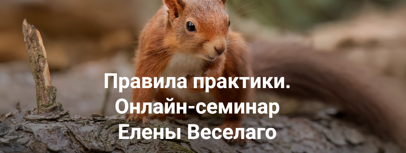 Институт Открытого поля / Елена Веселаго - Правила практики. Как построить практику, приносящую удовольствие много лет и дающую хорошие деньги