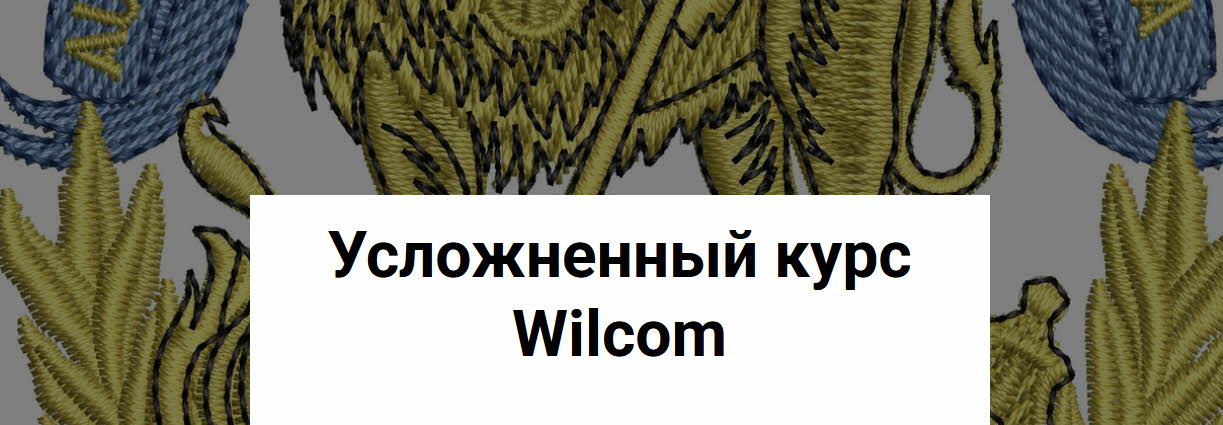 Embroshop / Светлана Красноцветова - Курс по шрифтам в Wilcom. Тариф Самостоятельный