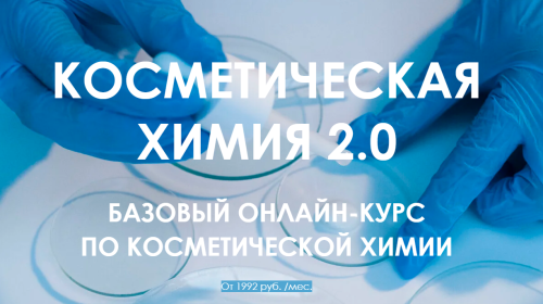 Ася Зубкова, Надежда Каплева - Косметическая химия 2.0. Тариф Базовый