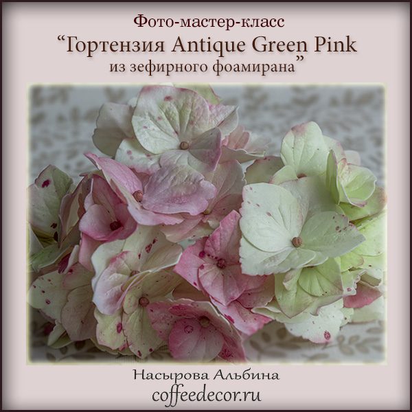 coffeedecor - Гортензия Antique Green Pink из зефирного фоамирана
