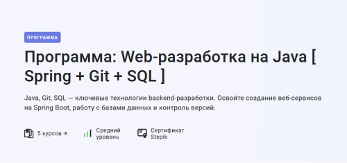 Stepik / Pragmatic Programmer, Сергей Камянецкий - Web-разработка на Java. Spring + Git + SQL
