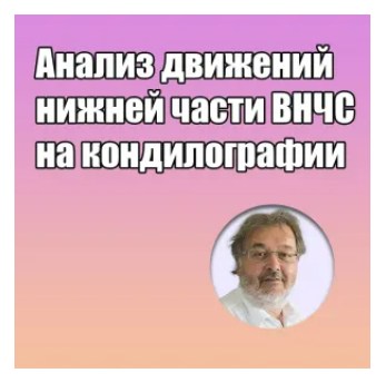Грегор Славичек - Анализ движений нижней части ВНЧС на кондилографии