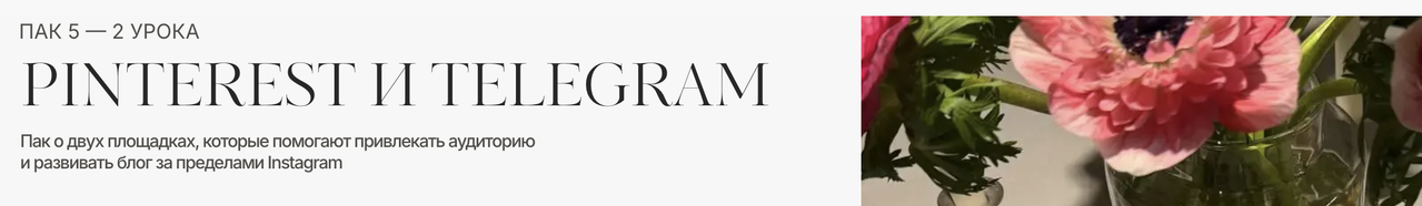 Полина Подплетенная - Department of Aesthetics. Пак 5: Pinterest и telegram