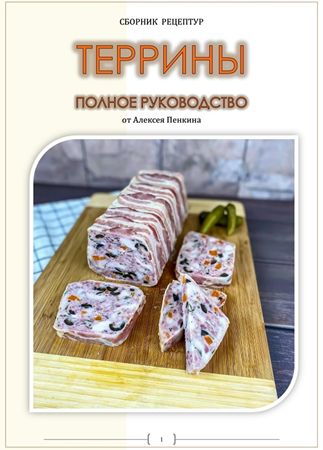 Алексей Пенкин - Террины. Полное руководство