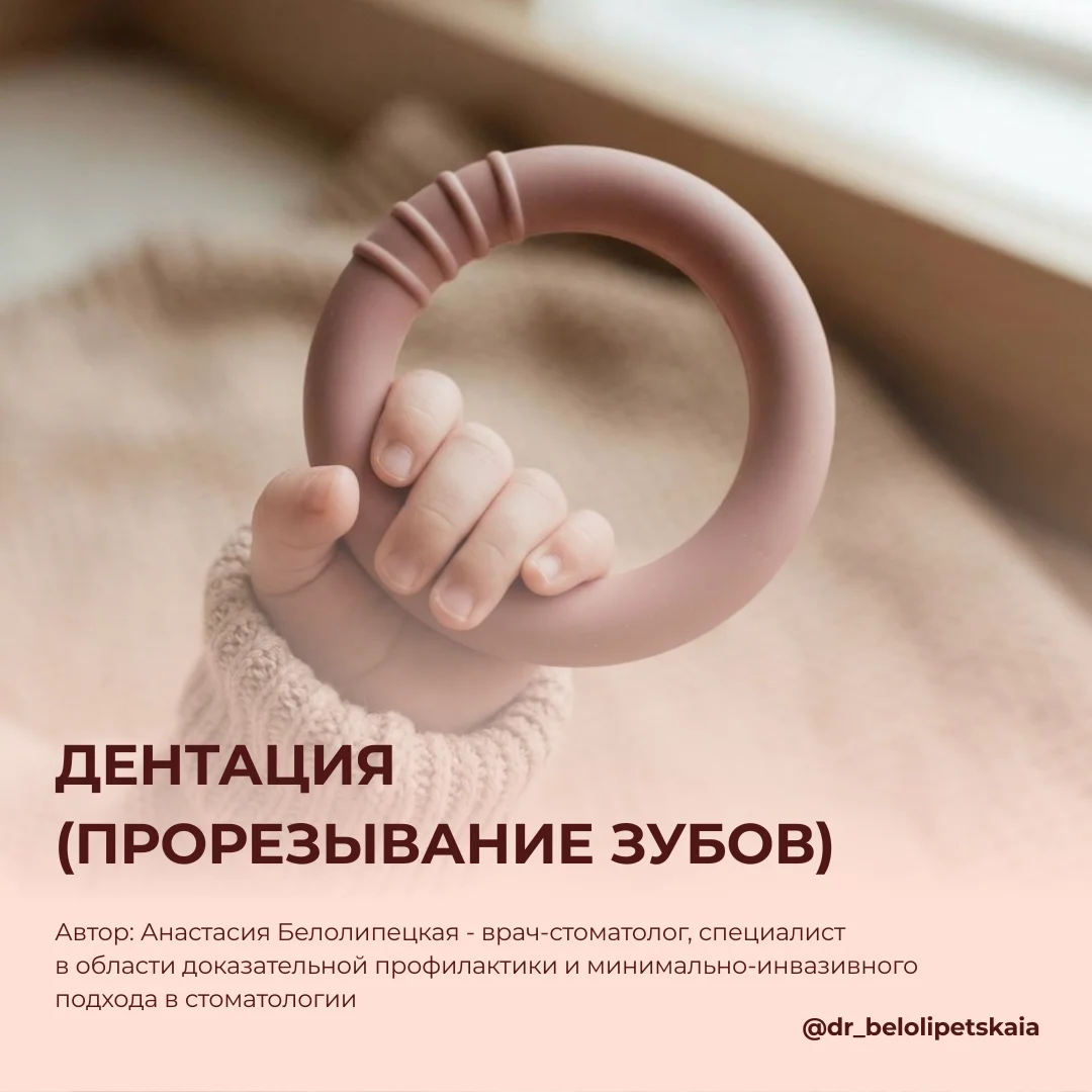 Анастасия Белолипецкая - Инструкция по дентации - прорезыванию зубов