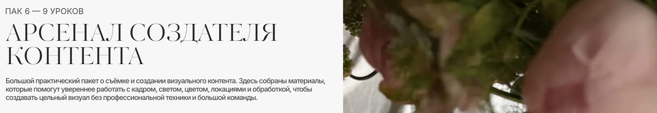 Полина Подплетенная - Department of Aesthetics. Пак 6: Арсенал создателя контента