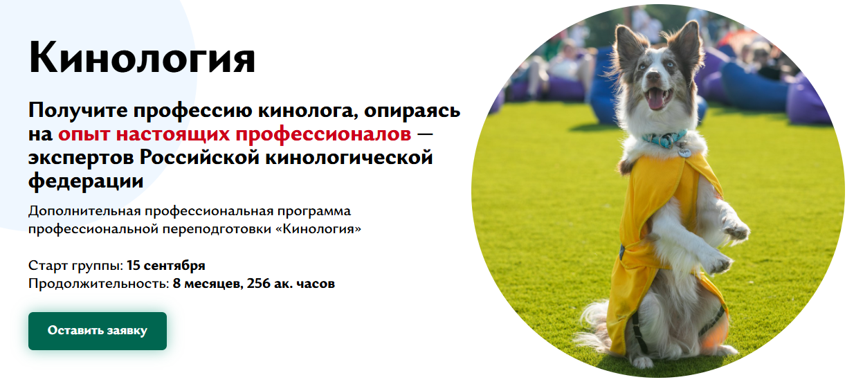 ОЦ РКФ - Кинология