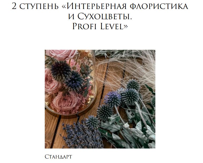 Елена Попова - Интерьерная флористика и Сухоцветы. 2 ступень Profi Level. Тариф Стандарт