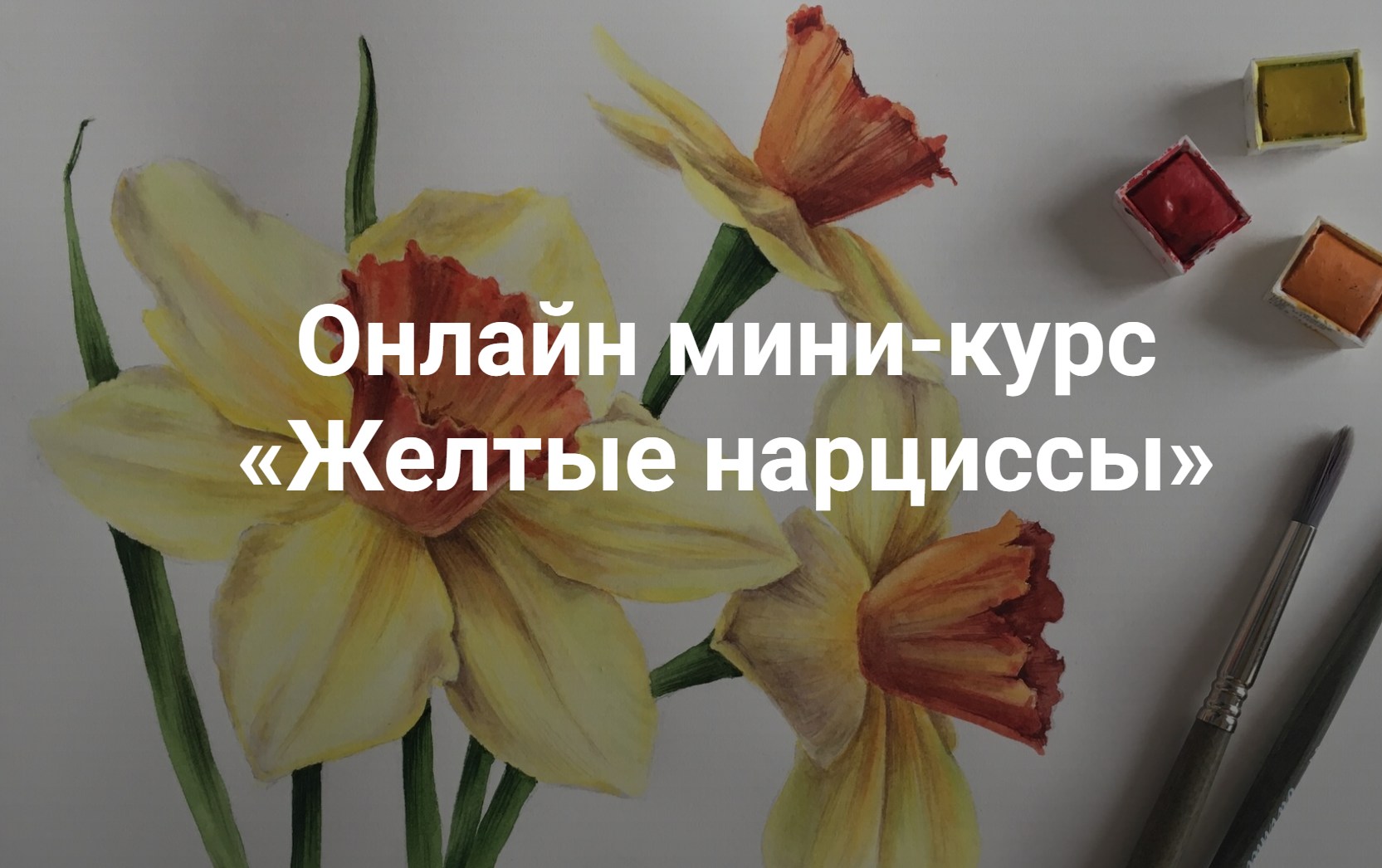 KalachevaSchool / Ксения Галицкая - Желтые нарциссы