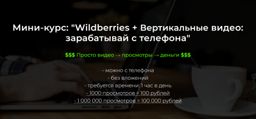 Александр Пуминов - Wildberries + Вертикальные видео: Зарабатывай с телефона