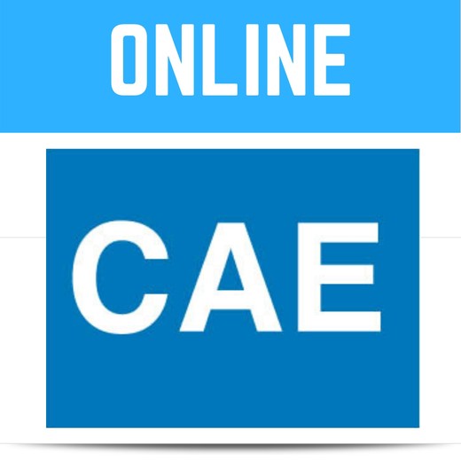 Paul Newson ― CAE / Newson's Place - Certificate in Advanced English - C1 (whole course)