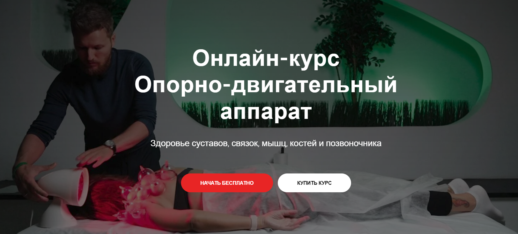 Опорно / Тимофей Кармацкий - двигательный аппарат