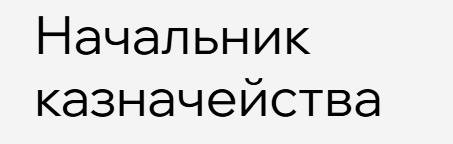 Русская школа управления - Начальник казначейства