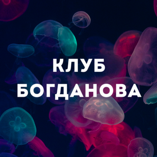 Дмитрий Богданов - Делегирование. Ноябрь