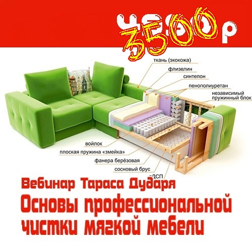 Тарас Дударь - Основы профессиональной чистки мягкой мебели