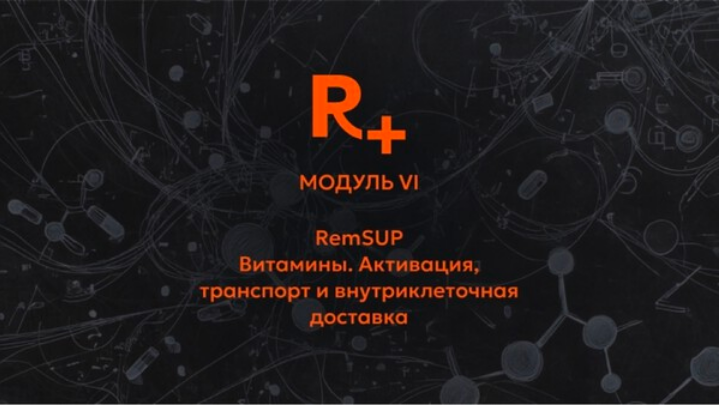 Remee+ / Владимир Попов - Витамины. Активация, транспорт и внутриклеточная доставка. 6 модуль