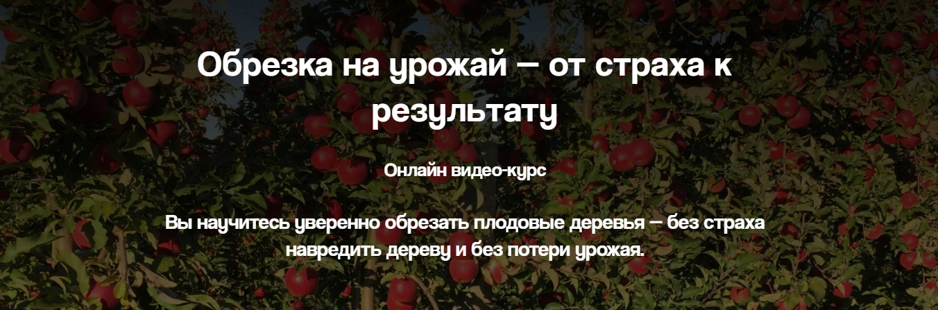 Обрезка на урожай / Дмитрий Парфёнов - от страха к результату