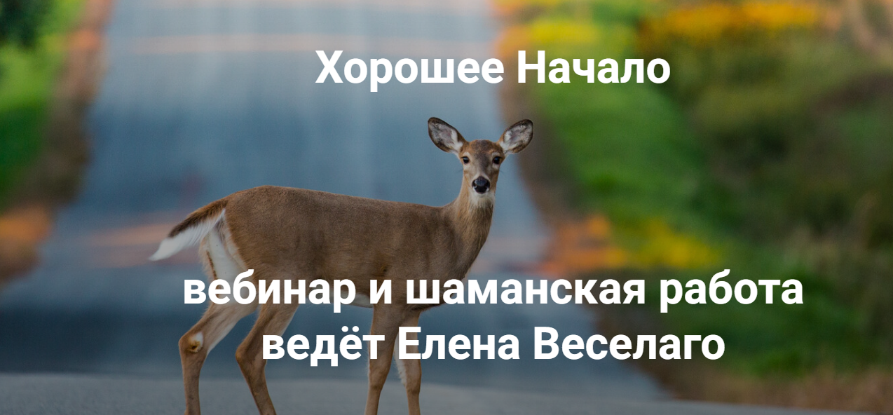 Институт Открытого поля - Елена Веселаго → Хорошее начало