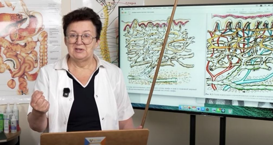 Ольга Шишова - 25 ежедневных обязательных мероприятий (ЕОМ) при наличии Швов